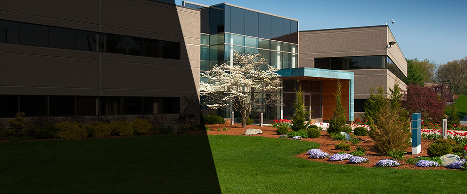 Desert Hot Springs Landscapers