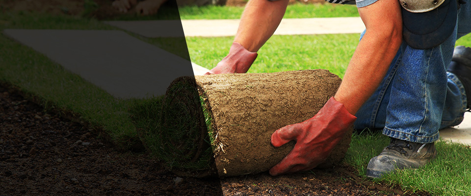 Desert Hot Springs Landscapers